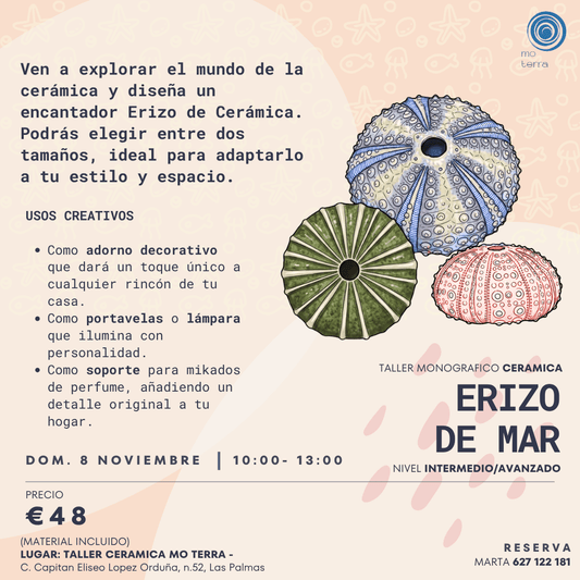 Taller Erizo de Mar ** Noviembre ** - Mo Terra Pottery